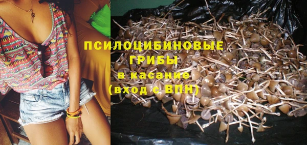 каннабис Алексин