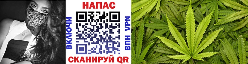 Канабис конопля Курганинск